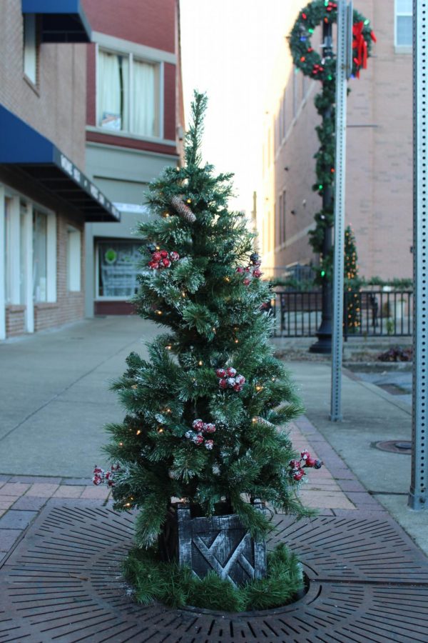 A tree is decorated for the holidays. Decorations are a big part of many student's traditions.