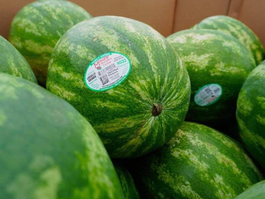 A crop of watermelon from the recent harvest at Mouzin Farms.