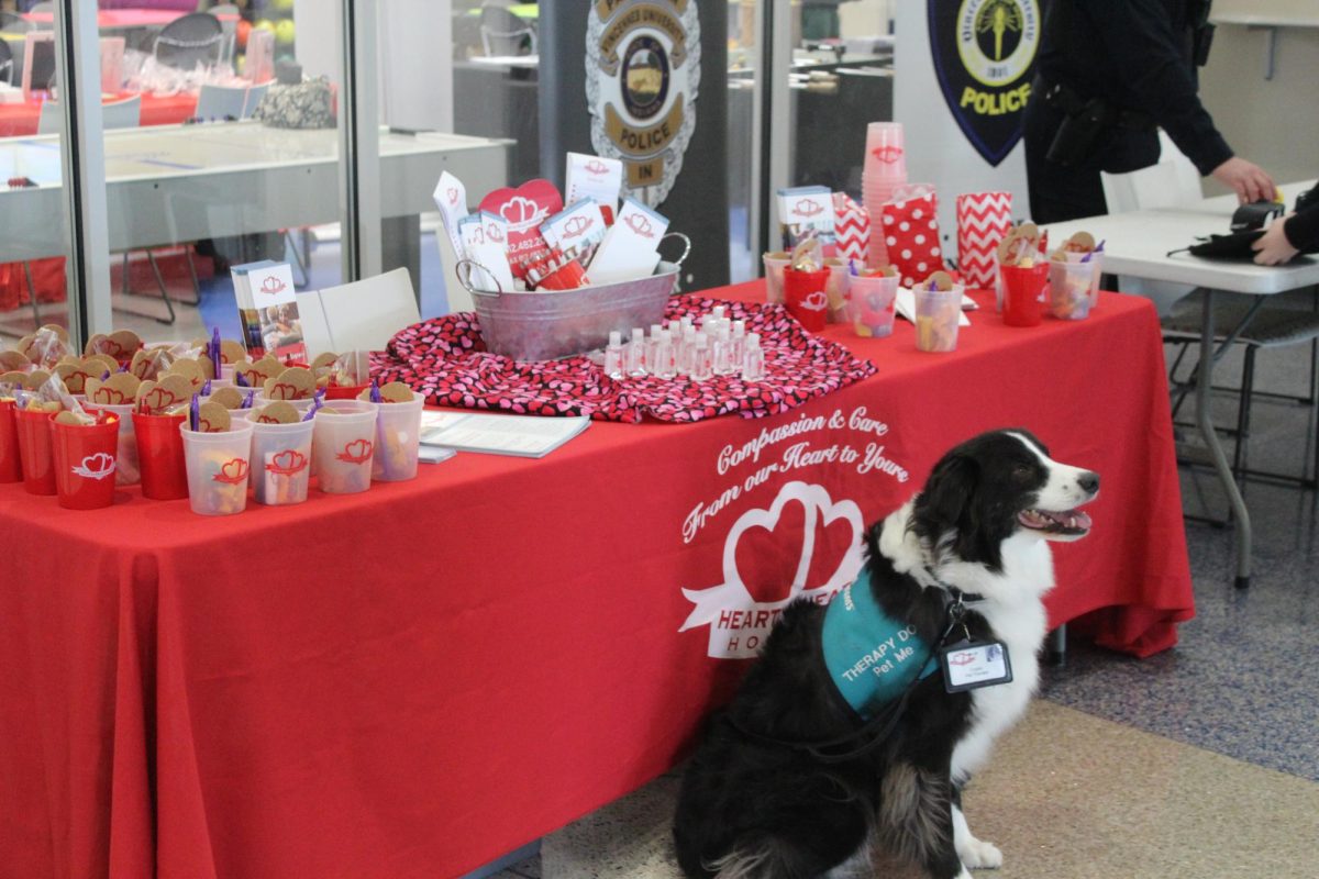 Crypto, a service dog, poses for a picture in front of the Heart to Heart hospice resource table.